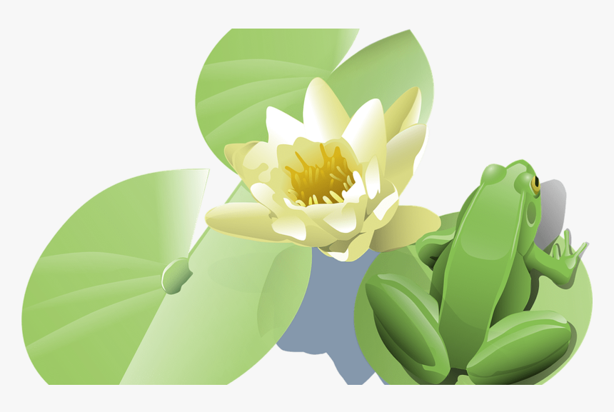 Transparent Lotus Vector Png Lily Pad Clip Art Png Download Transparent Png Image Pngitem