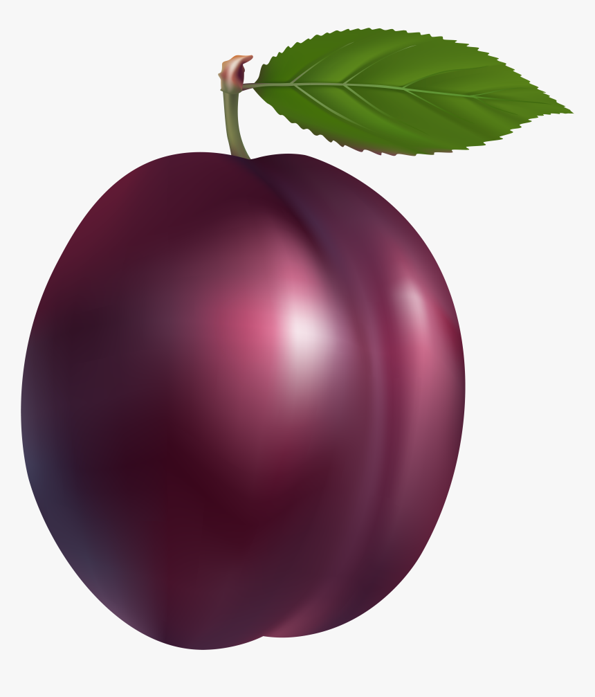 Clipart Fruit Purple Fruit - Plum Clipart, HD Png Download