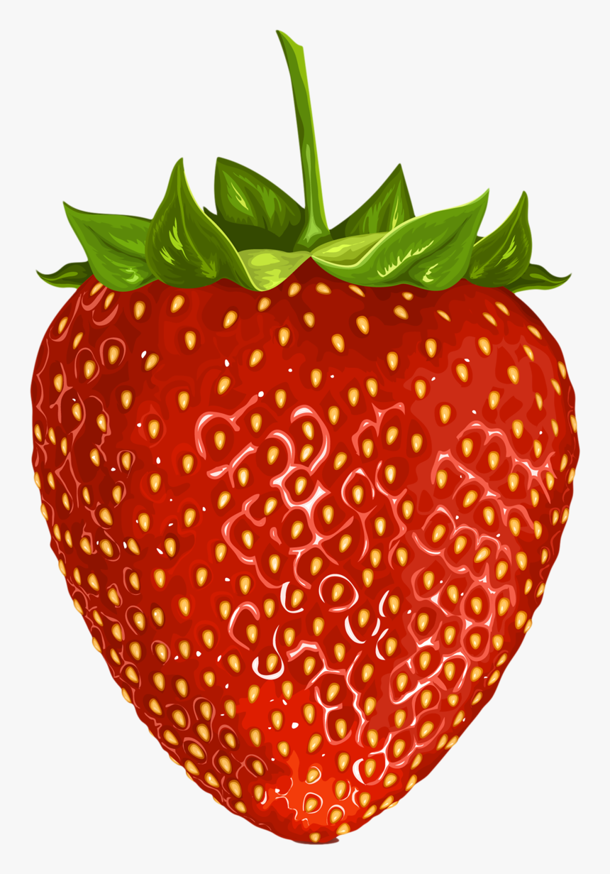 Фотки Fruit Clipart, Food Clipart, Fruits Images, Fruits - Transparent Bunch Of Fruit Clipart, HD Png Download