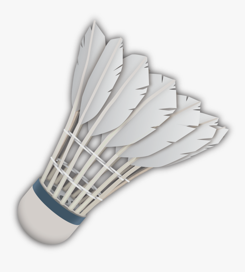 Euclidean Vector Badminton - Badminton Png, Transparent Png