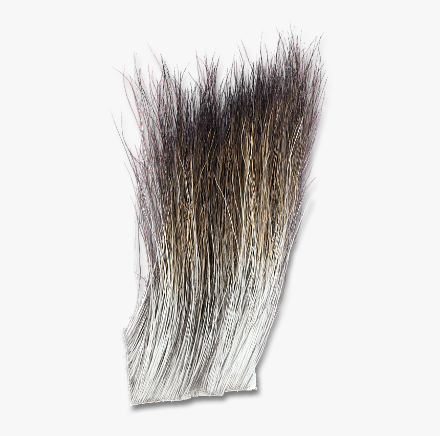 Grass, HD Png Download