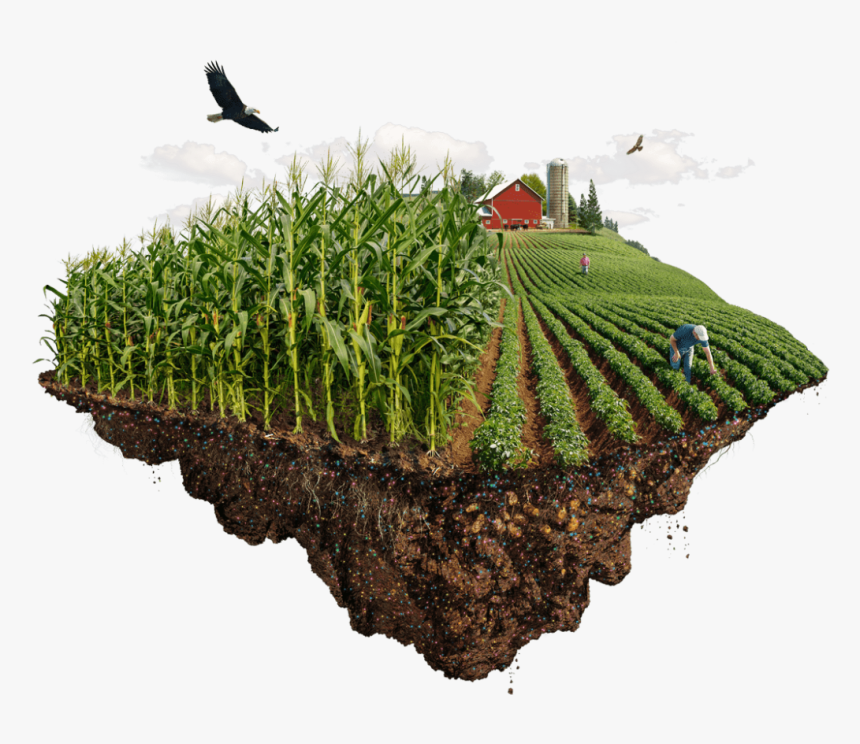 Nutrient Use Efficiency™ - Grass, HD Png Download