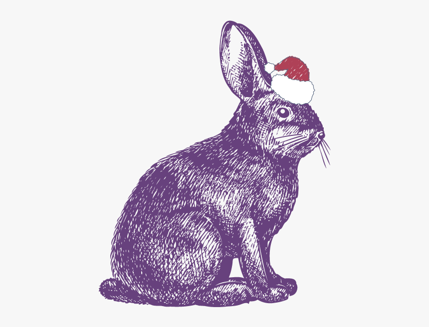 Rabbit Show Jumping Drawing Illustration - Rabbit Drawing, HD Png Download