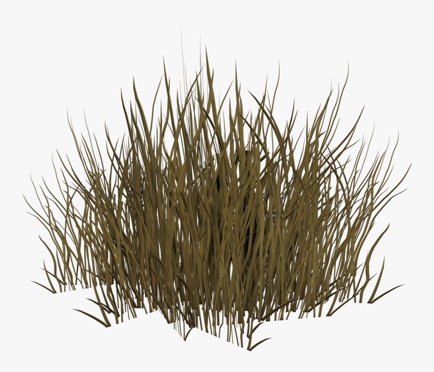 Grass, HD Png Download
