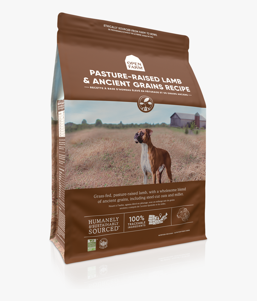Companion Dog, HD Png Download