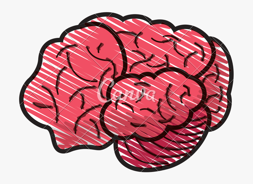 Vector Doodle Brain - Cerebro Dibujo Vector, HD Png Download