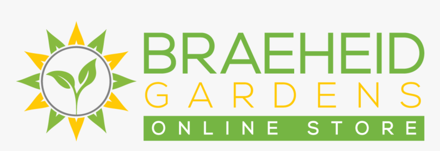 Transparent Hanging Vines Png - Regional Arts Commission, Png Download