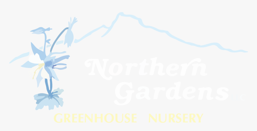 Northern Gardens Llc - African Daisy, HD Png Download