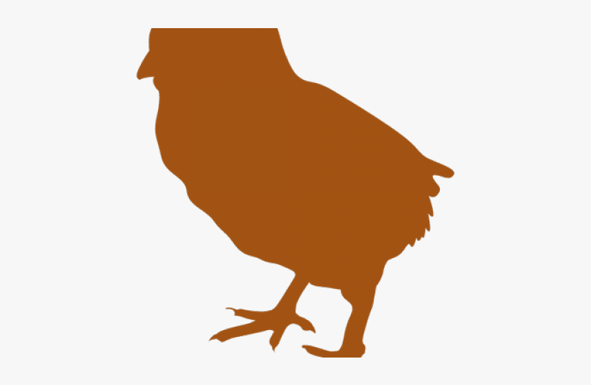Silhouette Clipart Chicken - Chicken, HD Png Download