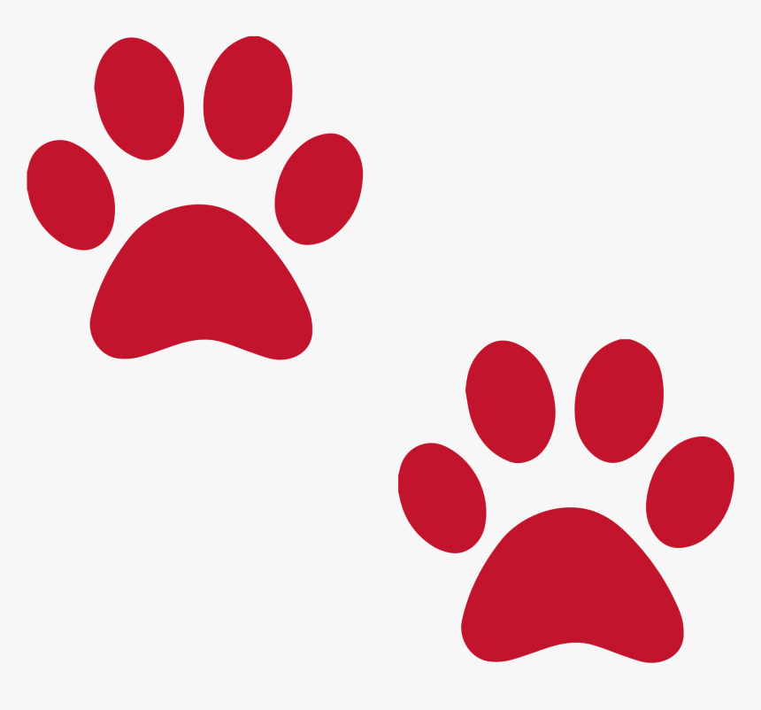 Transparent Jog A Thon Clipart - Green Paw Print Transparent, HD Png Download