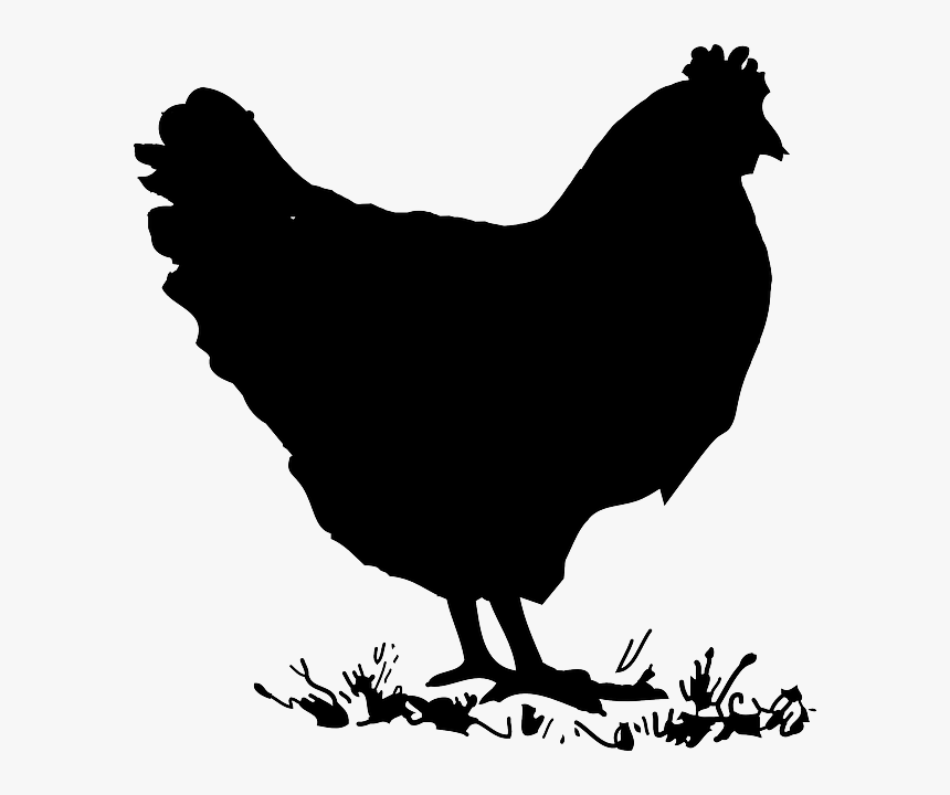 Chicken Clipart Black And White, HD Png Download