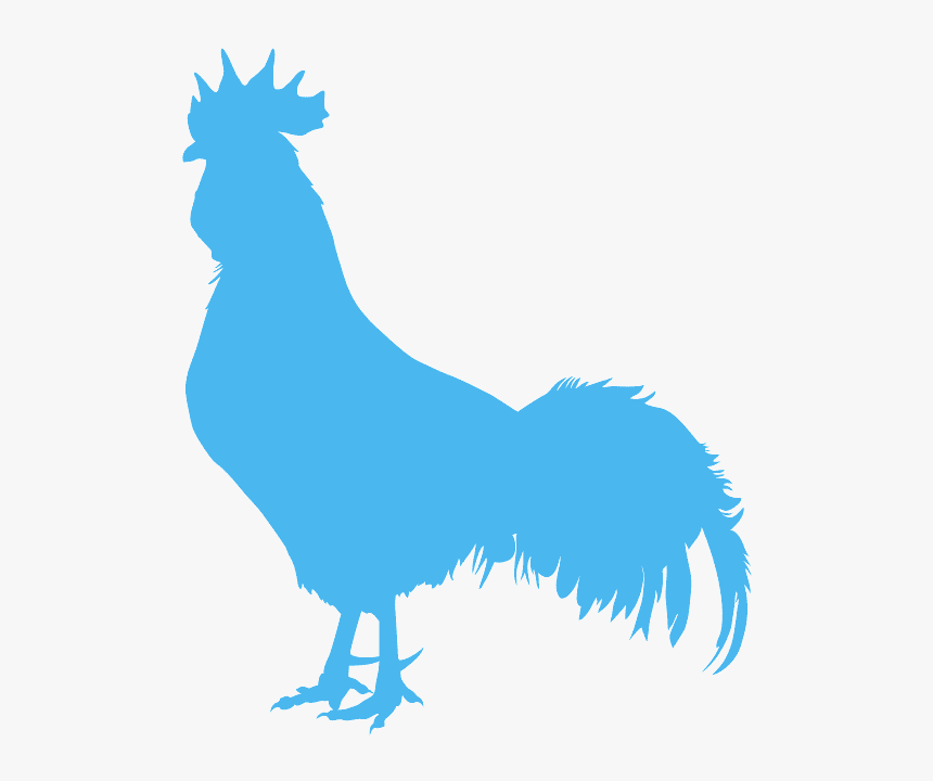 Gallo Contorno, HD Png Download