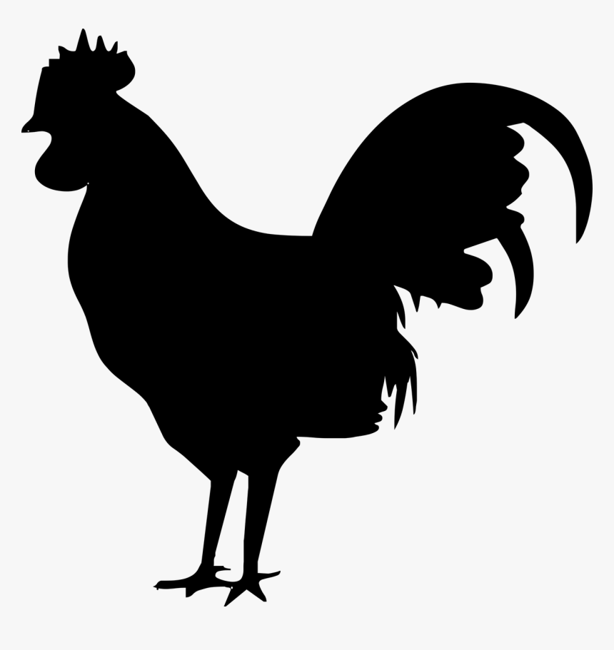 Silhouette, Bird, Nature, Dark, Chicken - Rooster Icon Png, Transparent Png