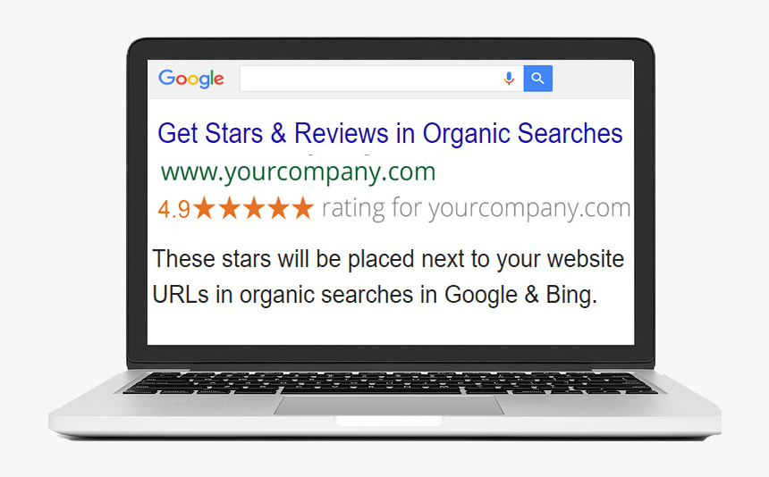 Stars In Organic Searches - Myheritage Dna, HD Png Download