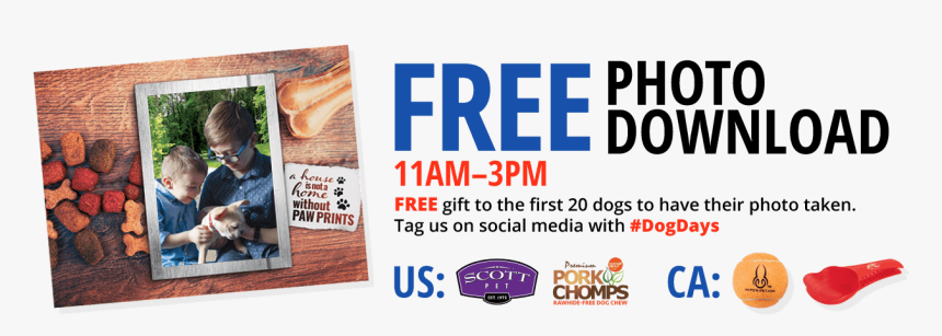 Transparent Paw Print Trail Png - Ace Cider, Png Download