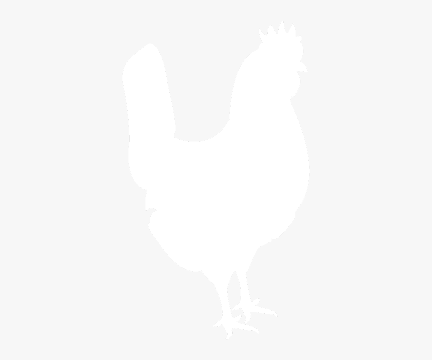 White Silhouette Of The Fancy Chicken Farm Co Logo - Rooster, HD Png Download