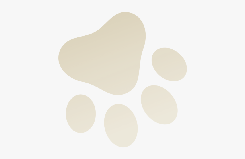 Dog Foot Print2x - Plywood, HD Png Download