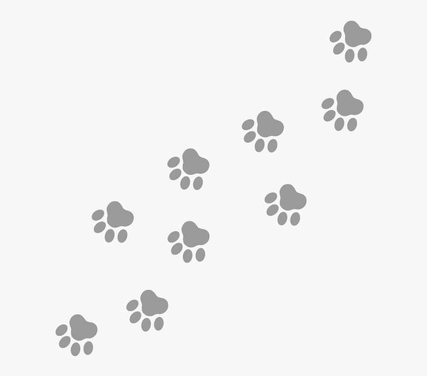 Old English Sheepdog, HD Png Download