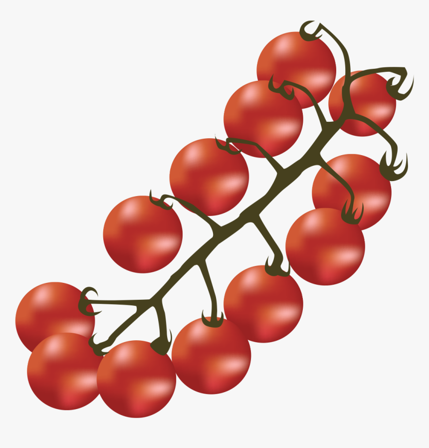 Bush Tomato, HD Png Download