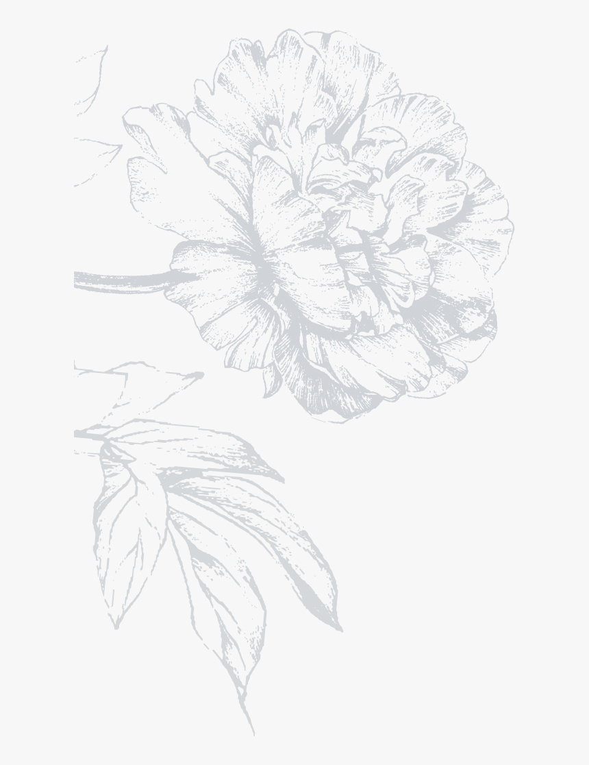 Tagetes Patula, HD Png Download