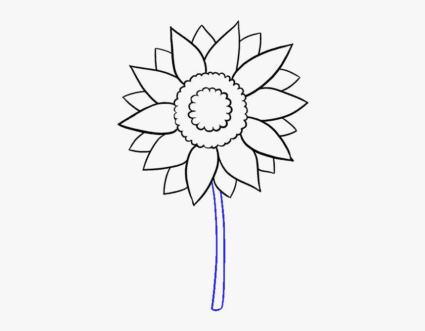 How To Draw Sunflower - Aesthetic Sunflower Drawing Easy, HD Png Download