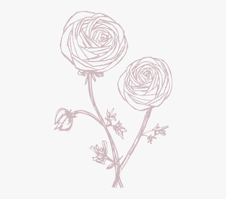 Sketch, HD Png Download