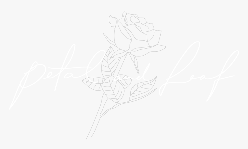 Sketch, HD Png Download