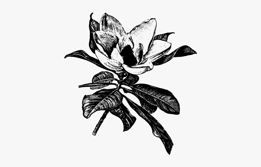 Illustration, HD Png Download