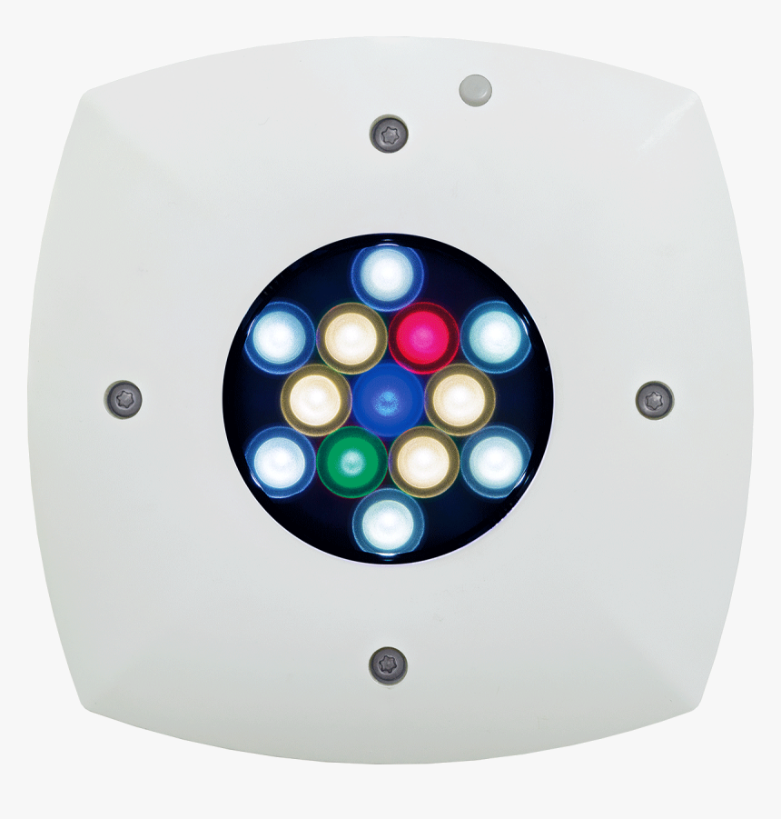 Ai Prime Freshwater Par, HD Png Download