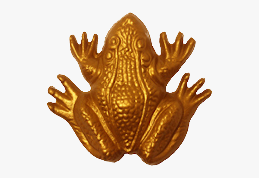 True Frog, HD Png Download