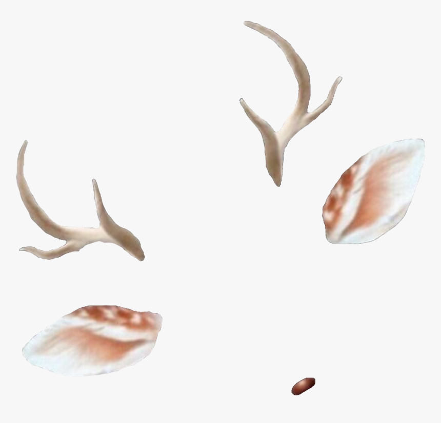 Transparent Bronc Clipart - Transparent Background Snapchat Filters, HD Png Download