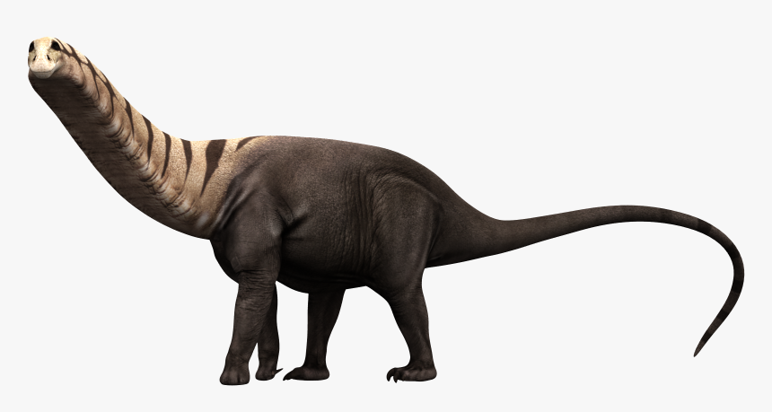 Tyrannosaurus , Png Download - Tyrannosaurus, Transparent Png
