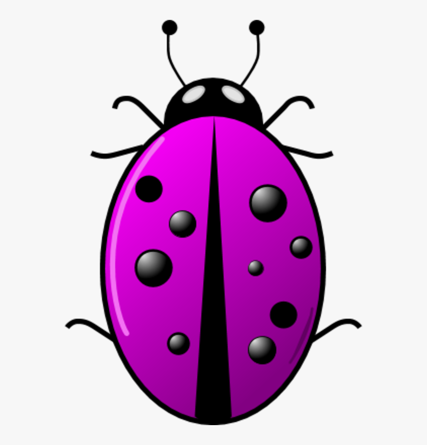 Vector Clip Art - Portable Network Graphics, HD Png Download