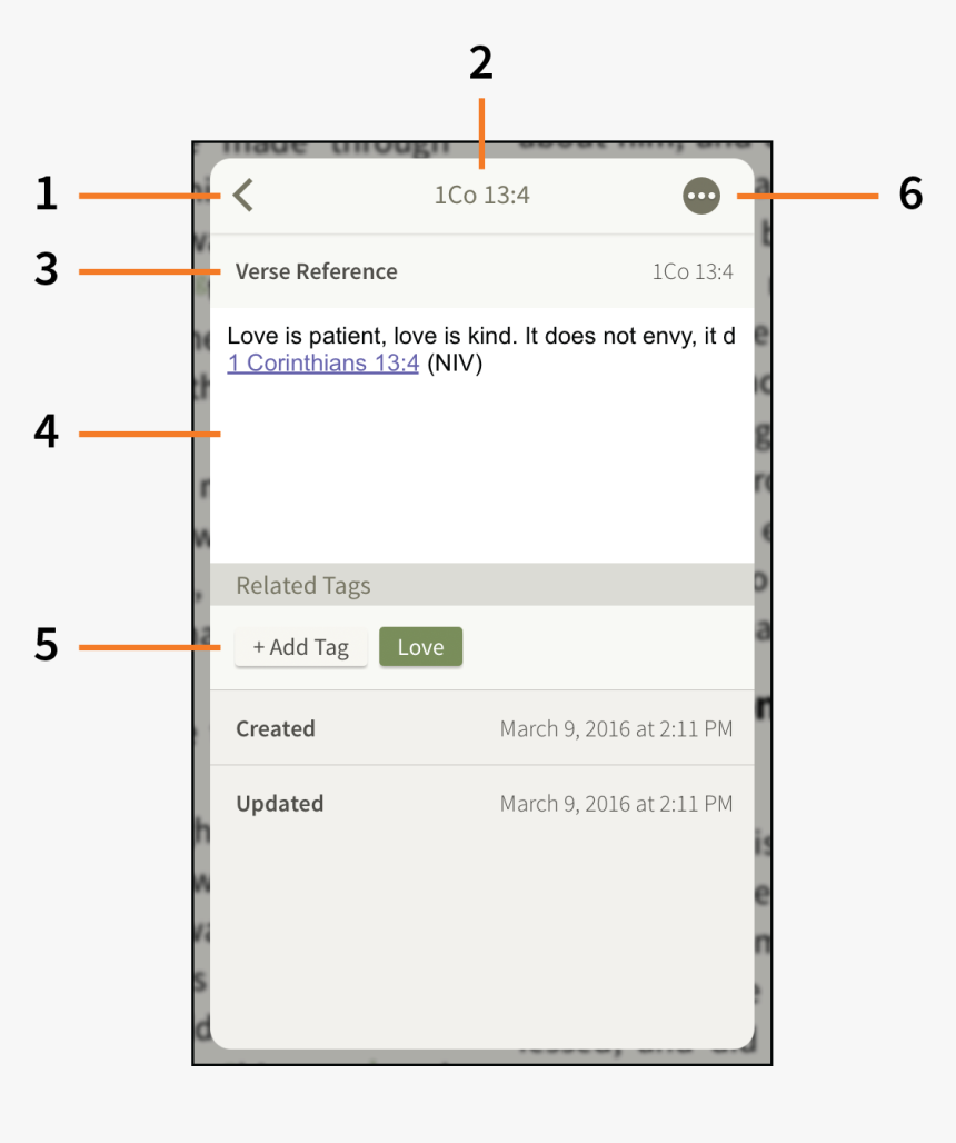 Nytimes Email News Preference Center, HD Png Download