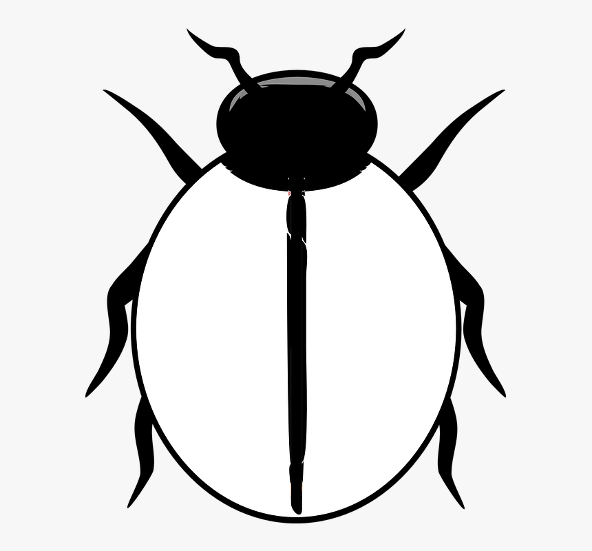 Transparent Ladybug Png - Ladybird Clipart Black And White, Png Download