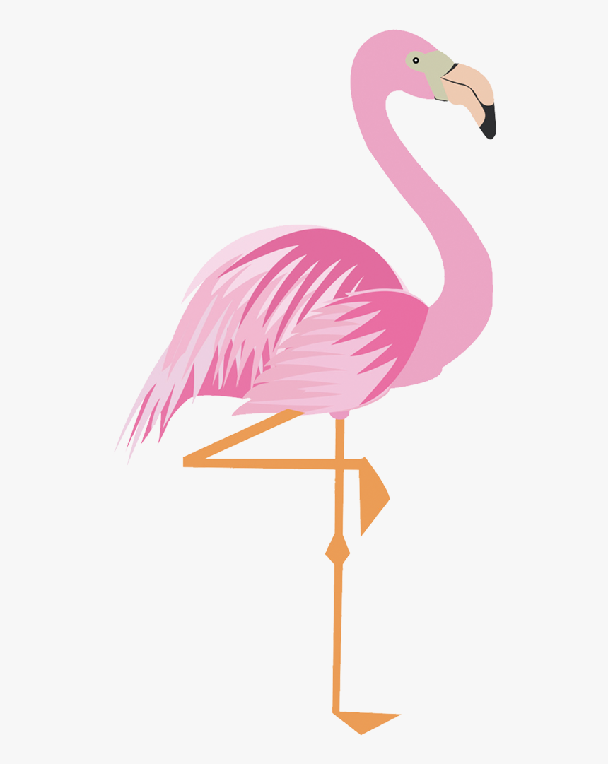Flamingo Clipart Png - ฟ ลา มิ ง โก้ การ์ตูน, Transparent Png