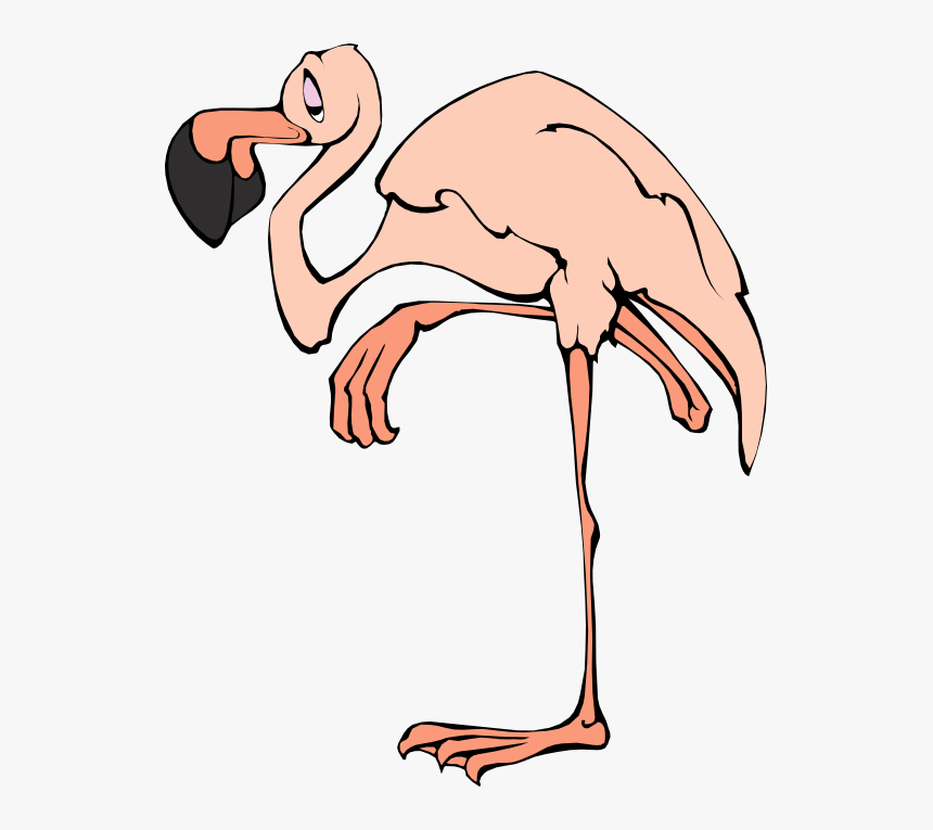 Flamingo Free To Use Clip Art - Flamingo Clip Art, HD Png Download