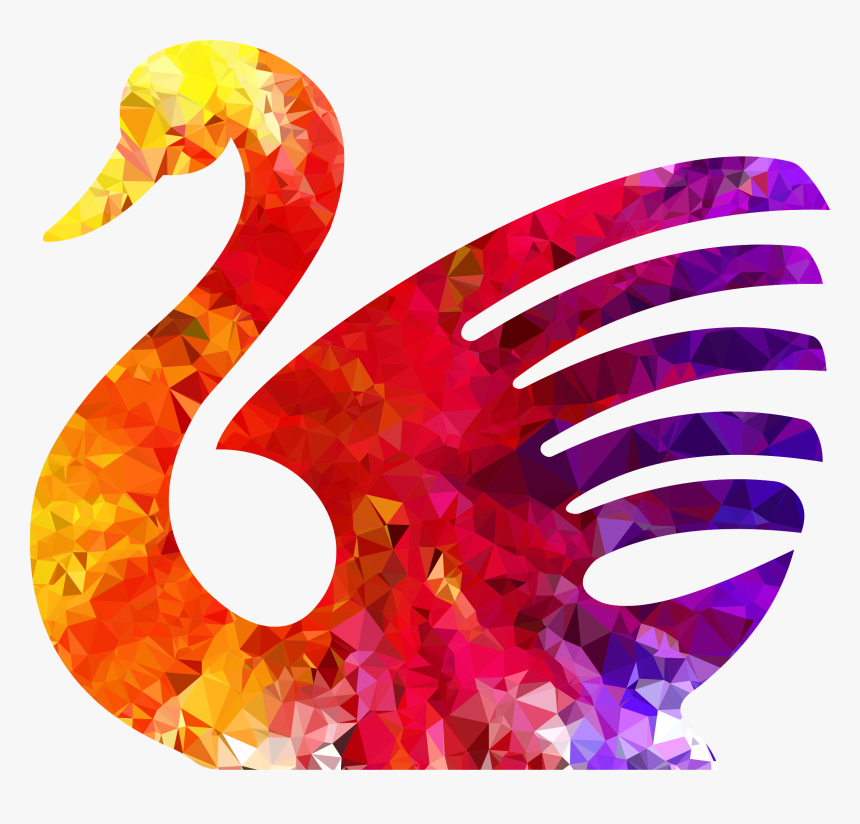 Flamingo,water Bird,swan, HD Png Download