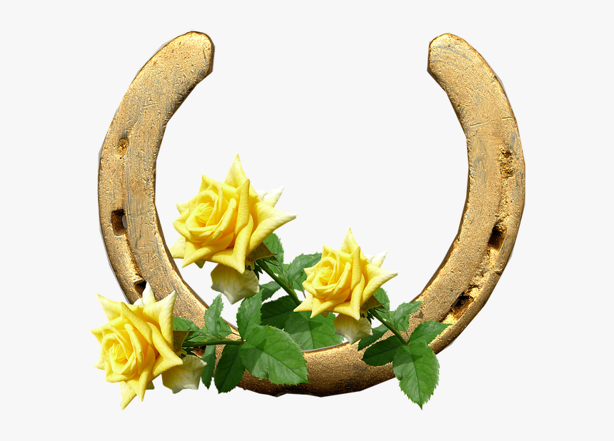 Transparent Gold Horseshoe Png - Imagenes De Herraduras Bonitas, Png Download