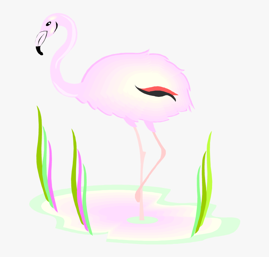 Flamingo, HD Png Download