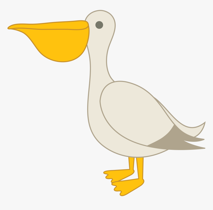 Pink Pelican Clipart, HD Png Download