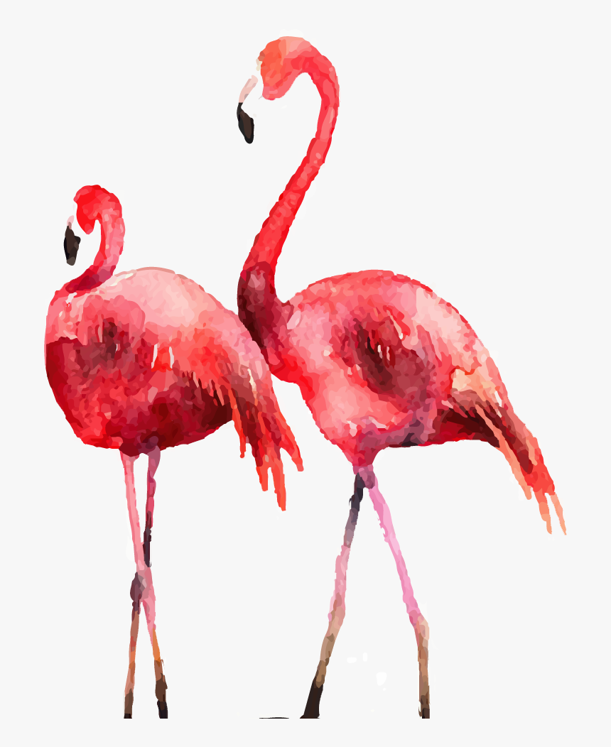 Flamingo Poster Printmaking Illustration - Flamingo Painting Png, Transparent Png