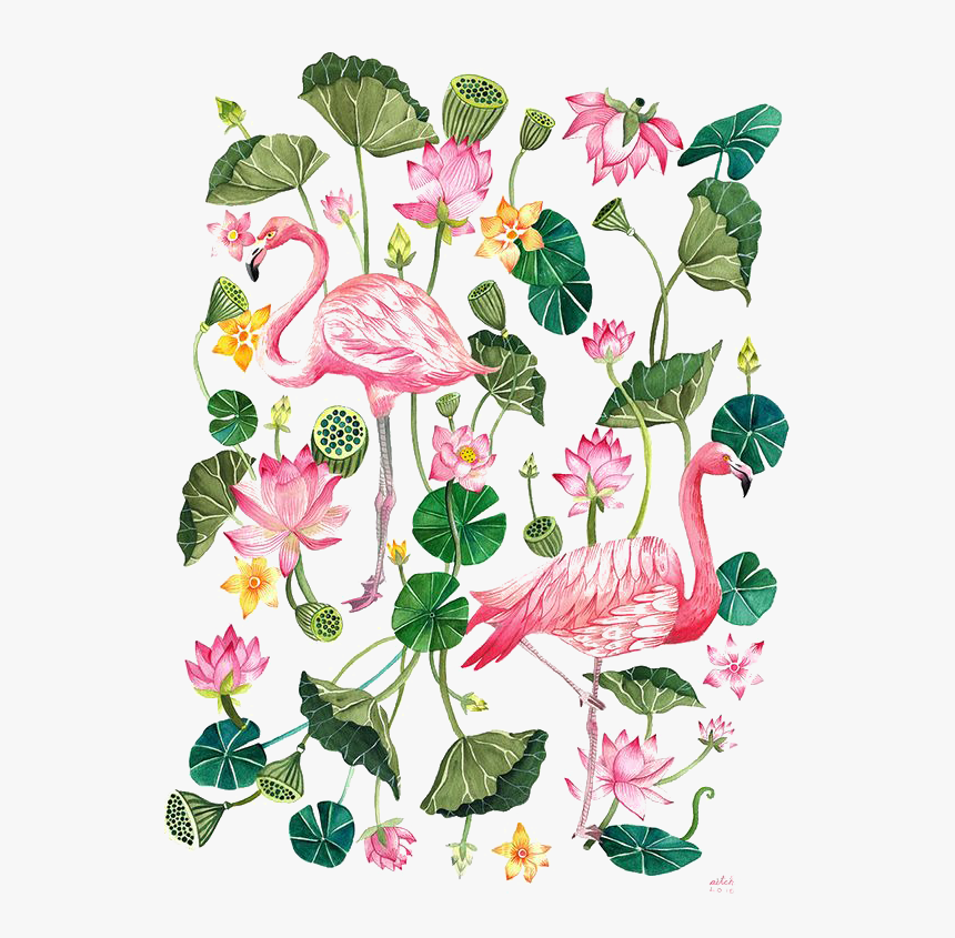 T-shirt Printing Flamingo Cartoon Illustration Download - Flamingo Tropical, HD Png Download