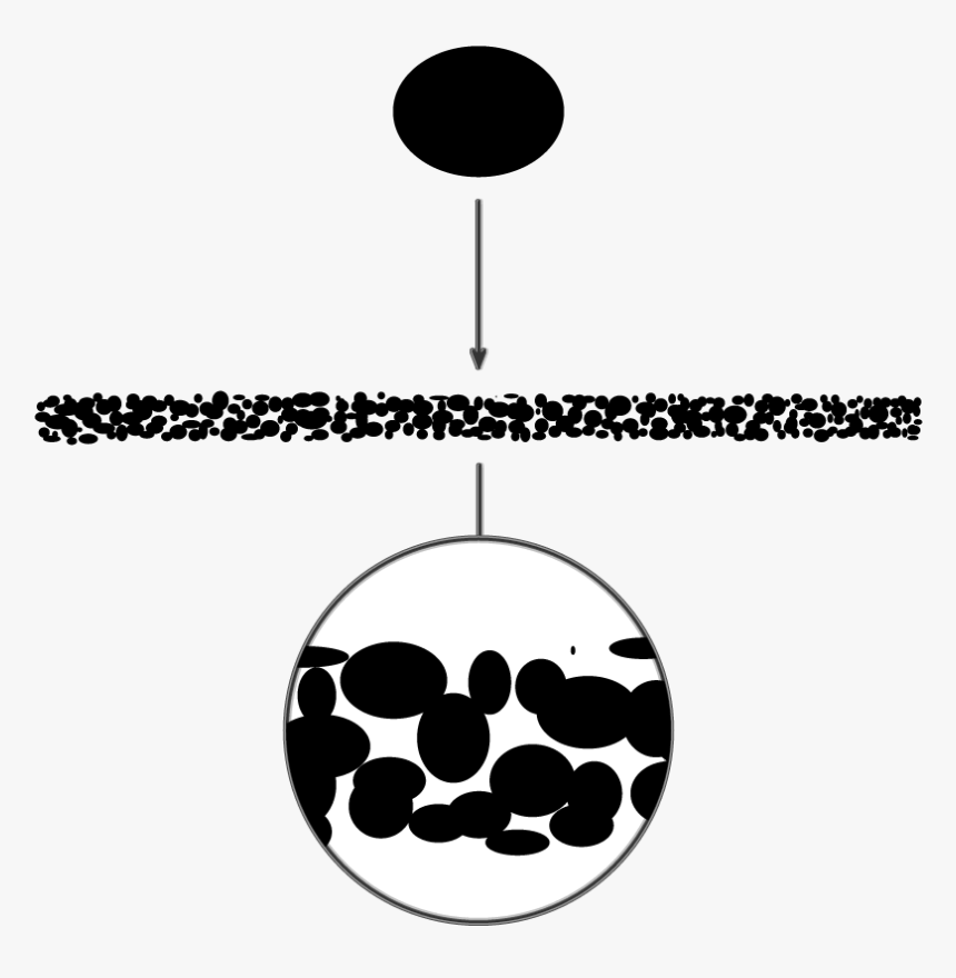 Circle, HD Png Download
