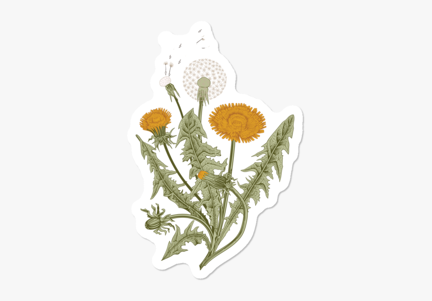 Flowers Extract Png, Transparent Png