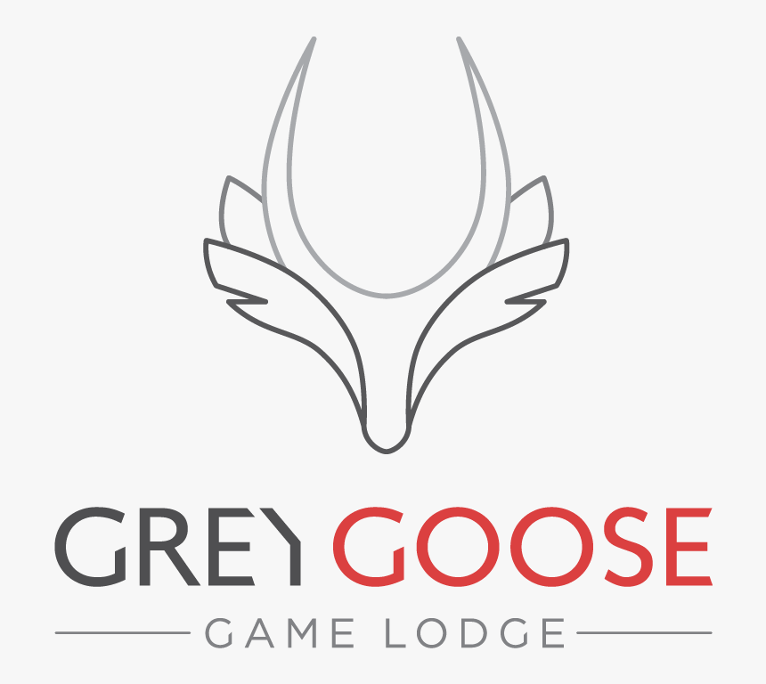 Line Art, HD Png Download