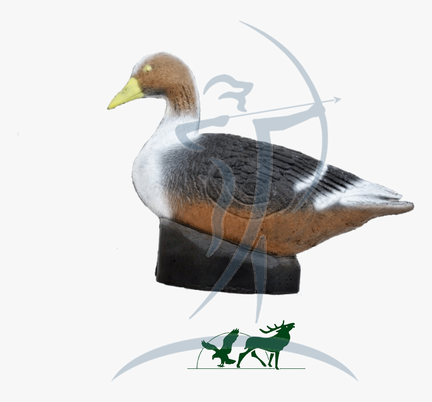 Leitold 3d-target Grey Goose - Mallard, HD Png Download
