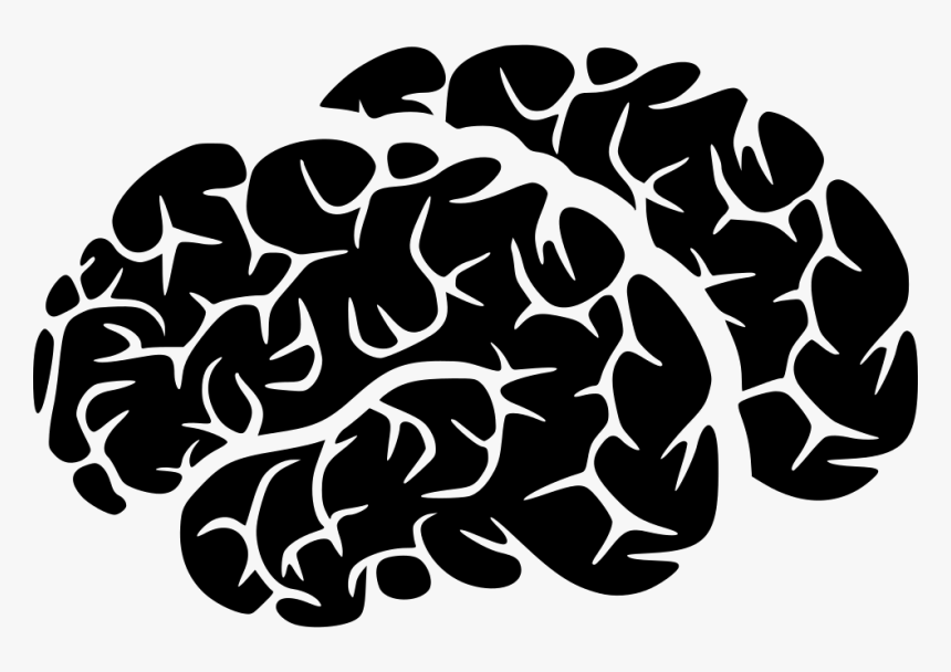 Brains - Illustration, HD Png Download
