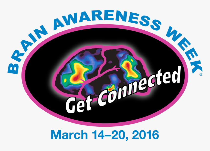 Brain Awareness Week, HD Png Download