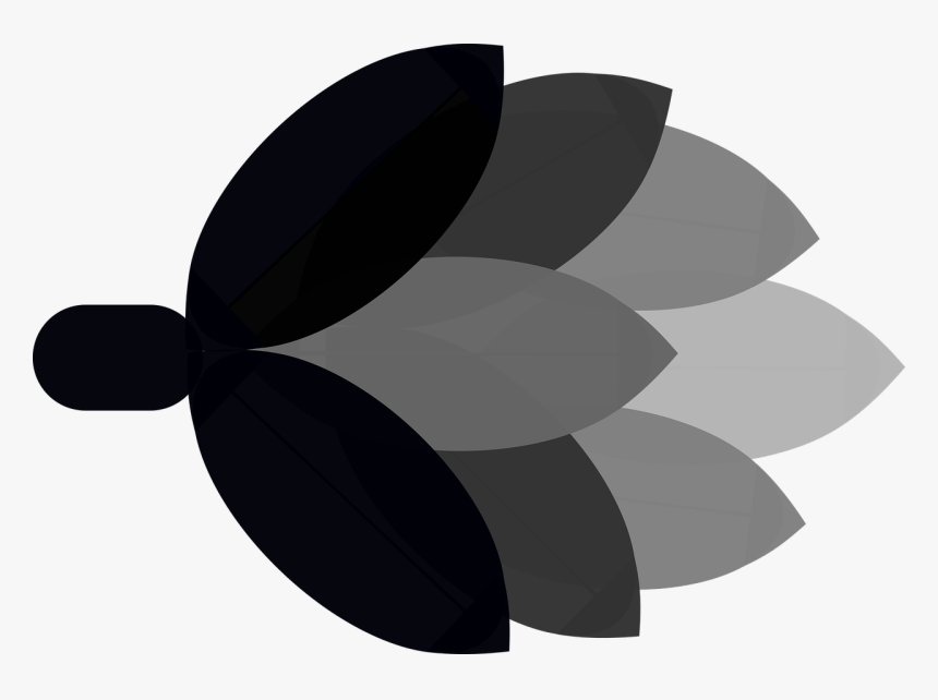 Beer Hops Free Vector Graphics Free Photo - Circle, HD Png Download